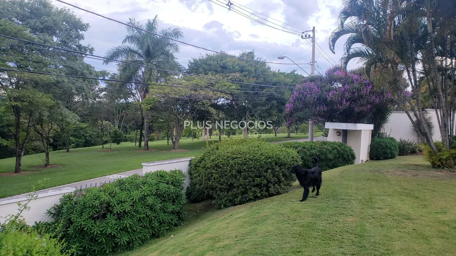 Casa, 6 quartos, 980 m² - Foto 35