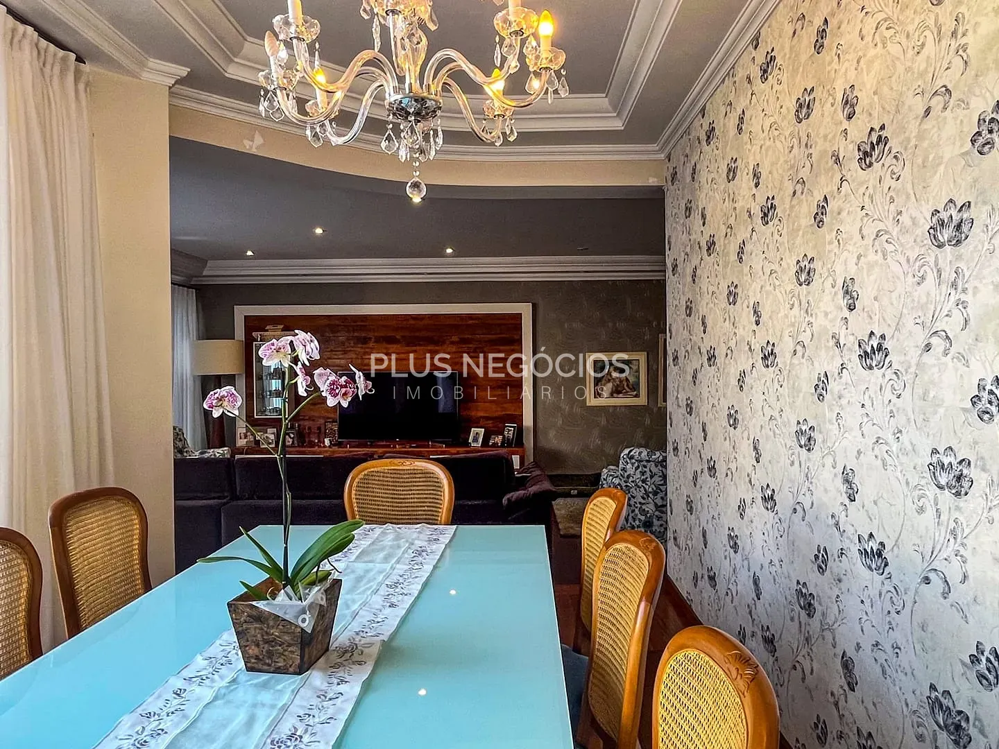 Casa, 4 quartos, 450 m² - Foto 14
