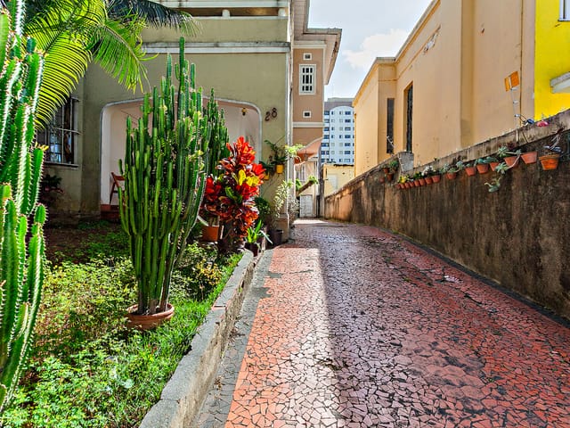 Casa com 359m² 3 quartos e 2 banheiros, à venda, no bairro Campos Elíseos em São Paulo
