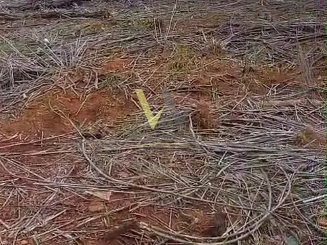 Terreno com 525m², à venda, no bairro Cidade Universitaria em Anápolis