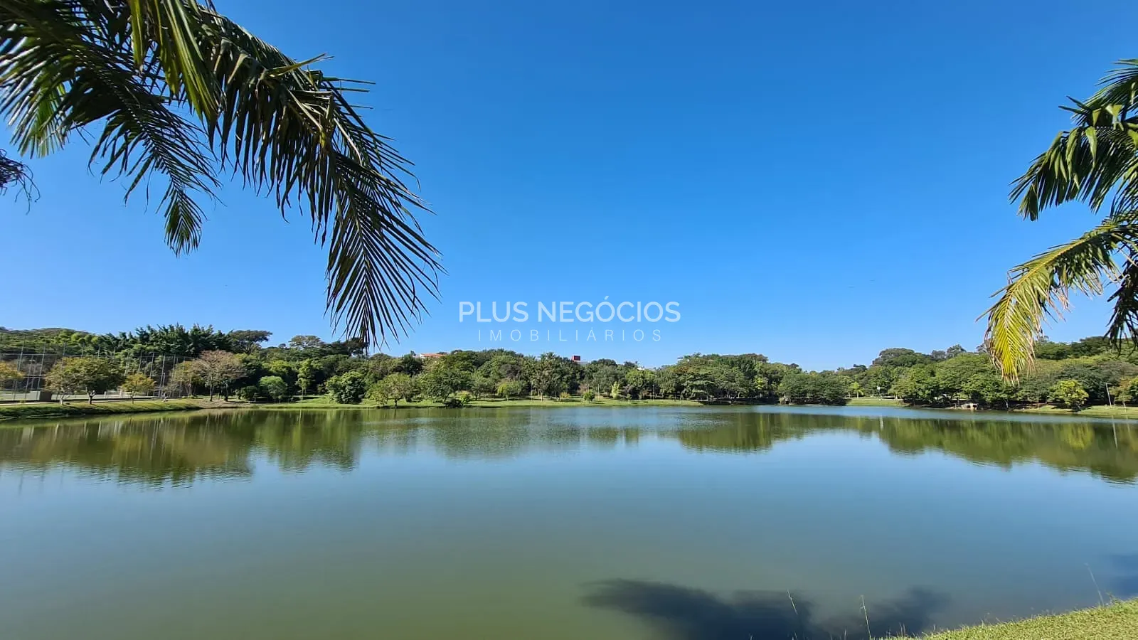 Casa, 4 quartos, 560 m² - Foto 11