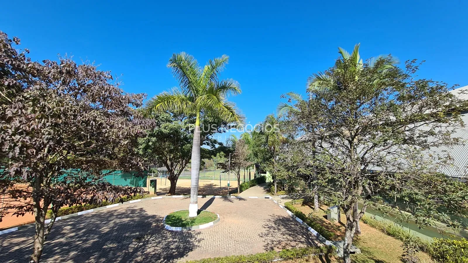Casa, 4 quartos, 560 m² - Foto 7