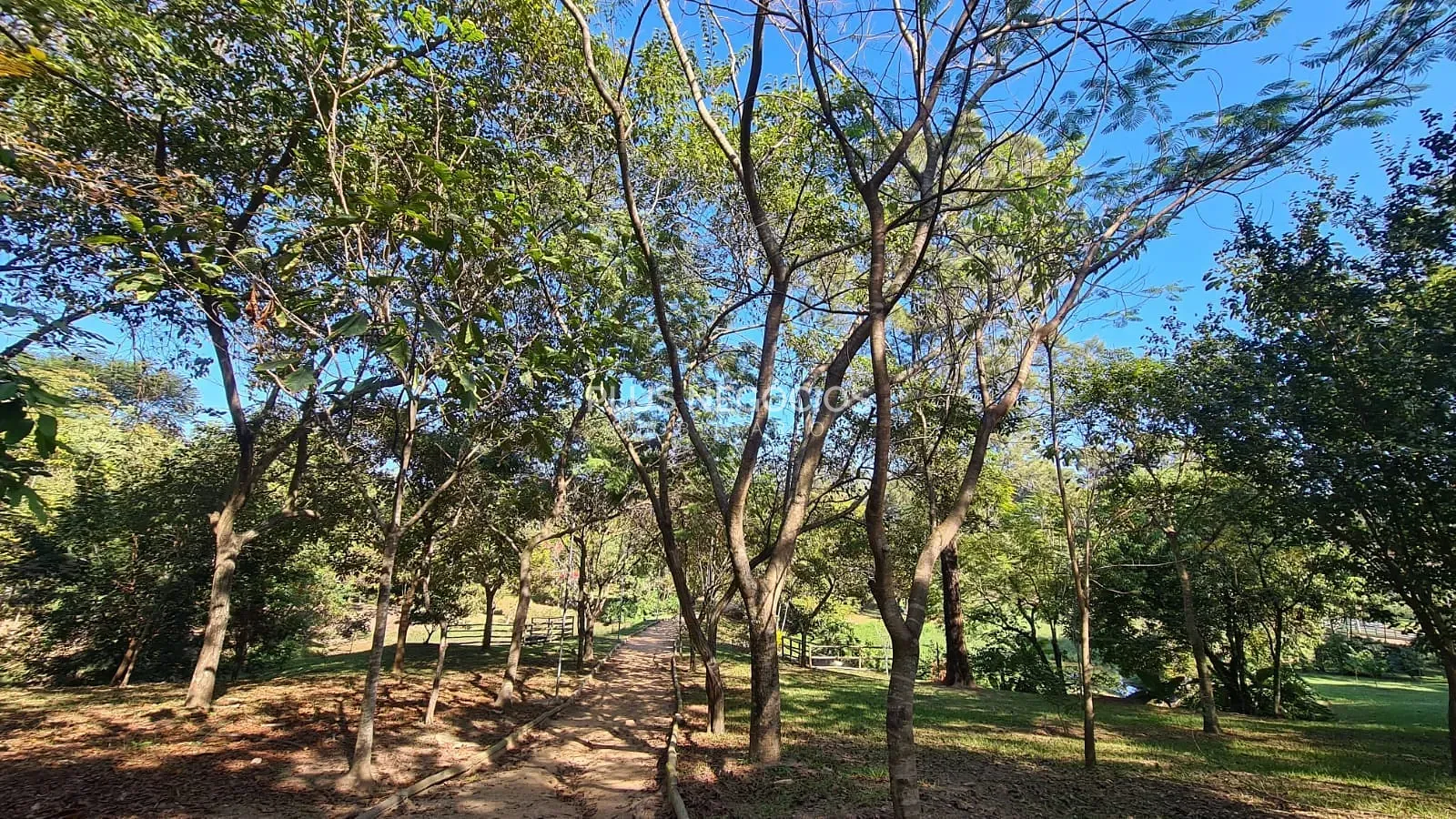 Casa, 4 quartos, 560 m² - Foto 41