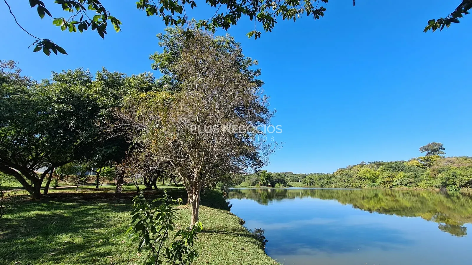 Casa, 4 quartos, 560 m² - Foto 30