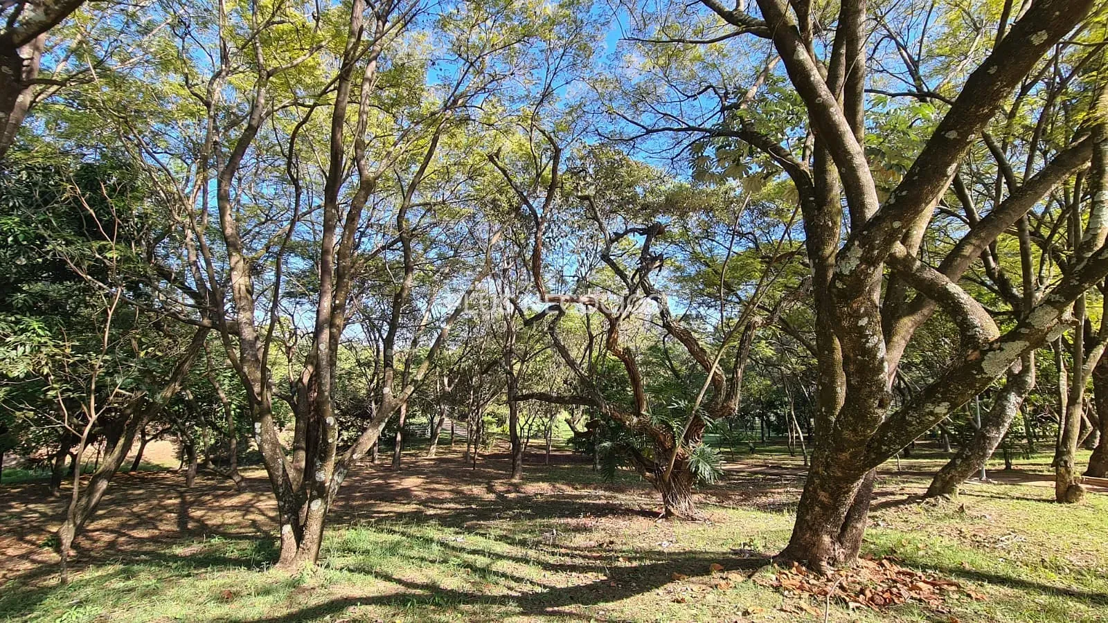 Casa, 4 quartos, 560 m² - Foto 38