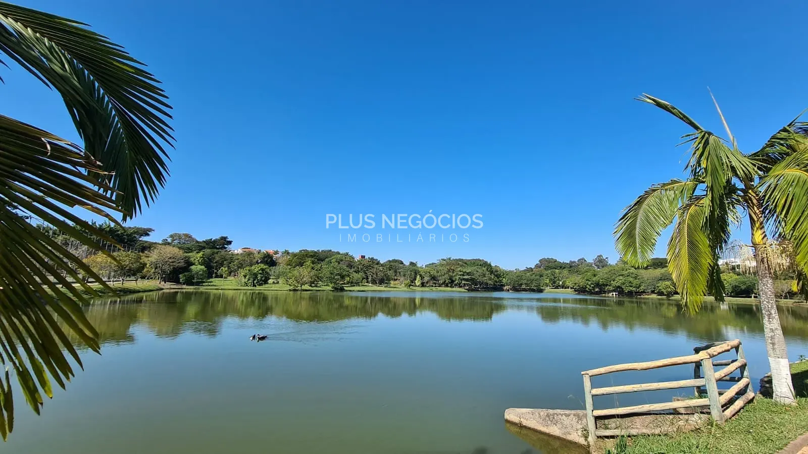 Casa, 4 quartos, 560 m² - Foto 8