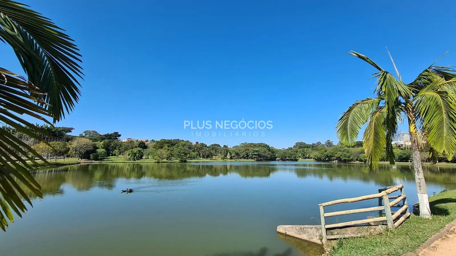Casa, 4 quartos, 560 m² - Foto 9