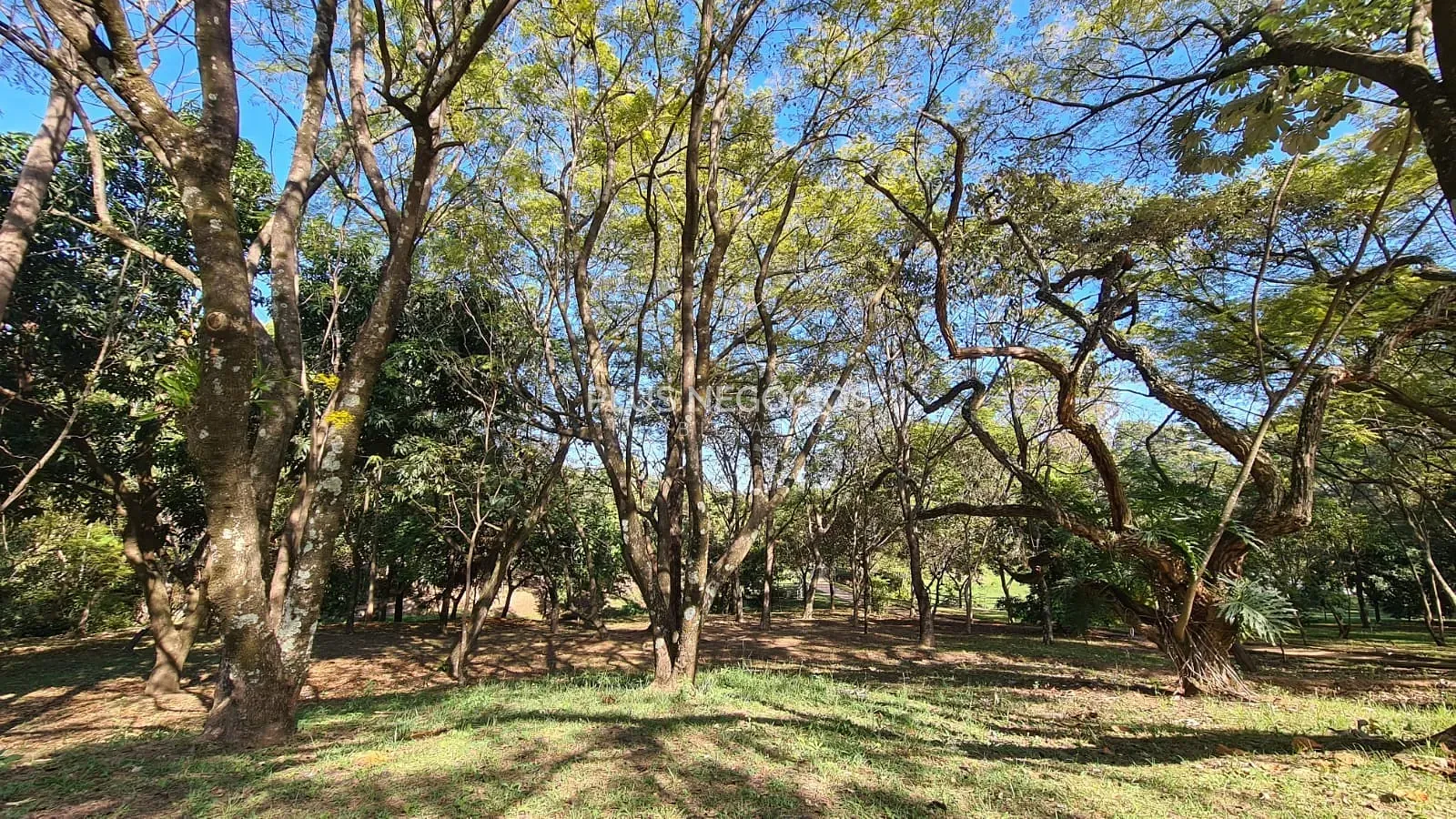 Casa, 4 quartos, 560 m² - Foto 40