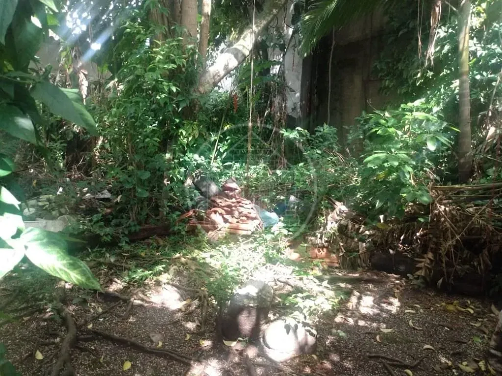 Casa, 2 quartos, 250 m² - Foto 3