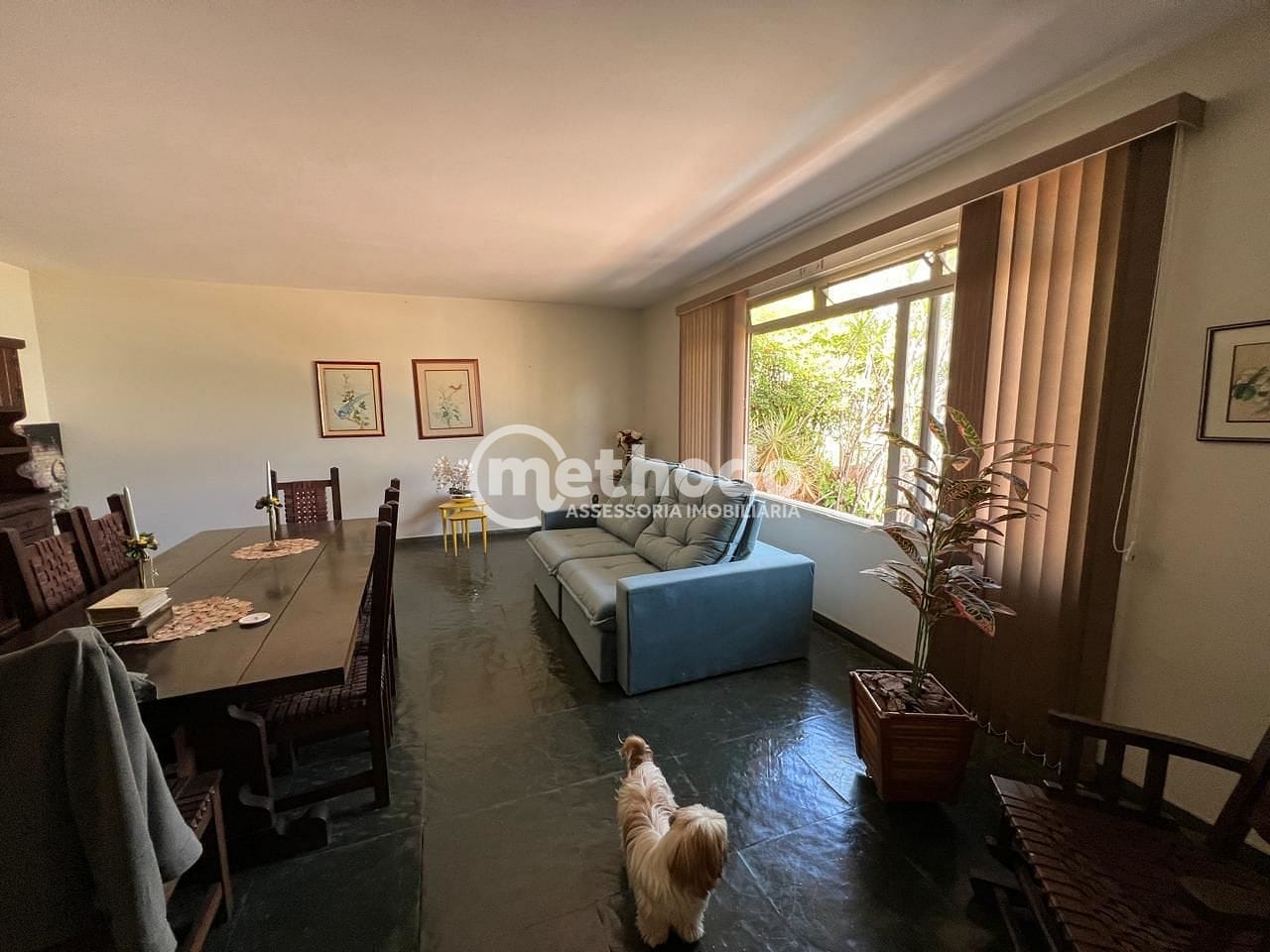 Casa, 4 quartos, 403 m² - Foto 17