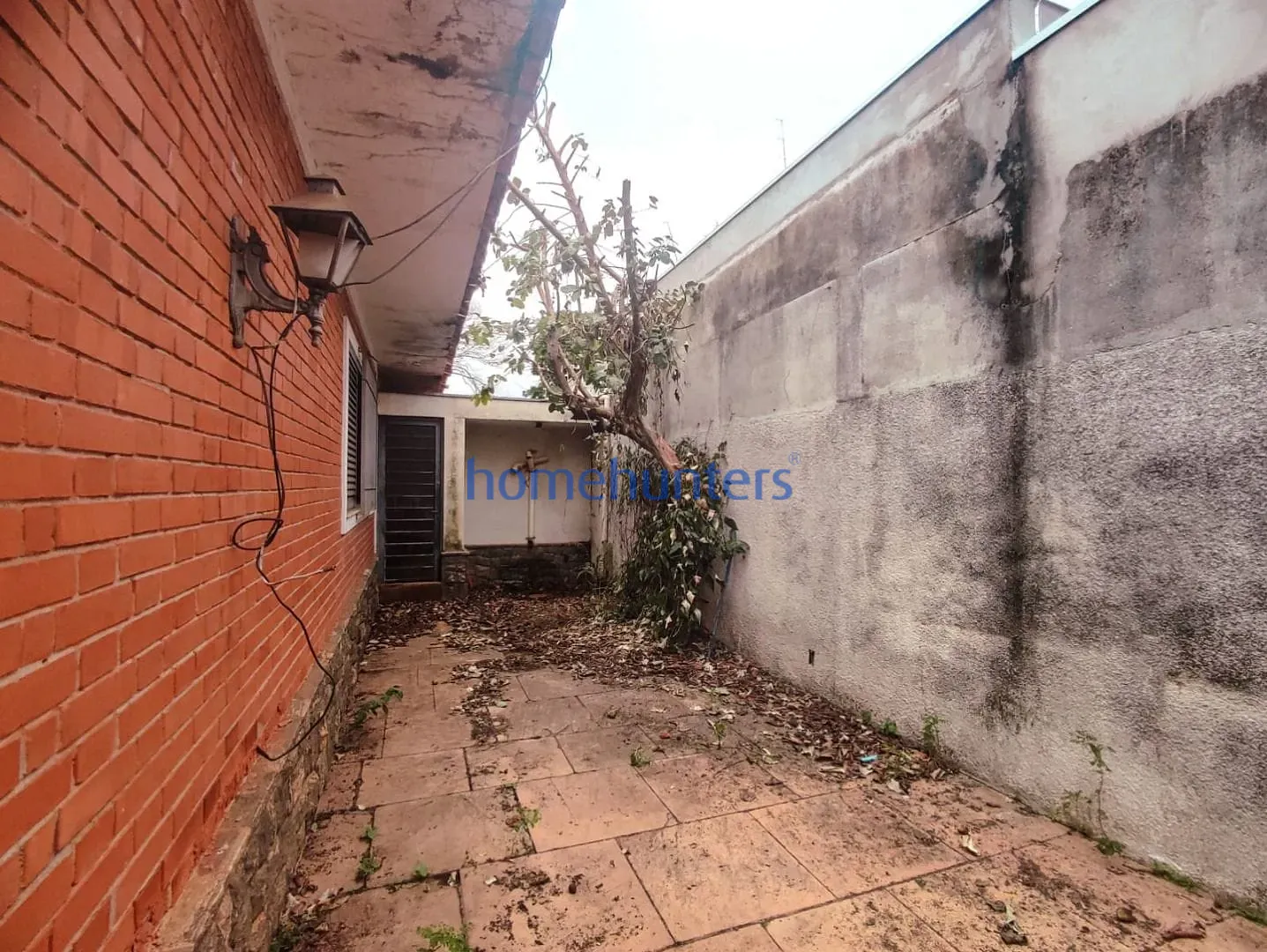Casa, 4 quartos, 294 m² - Foto 14