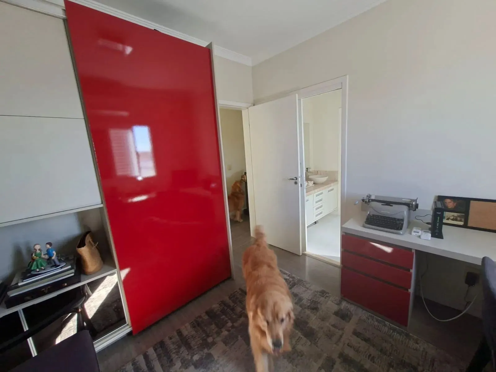 Casa, 4 quartos, 262 m² - Foto 24