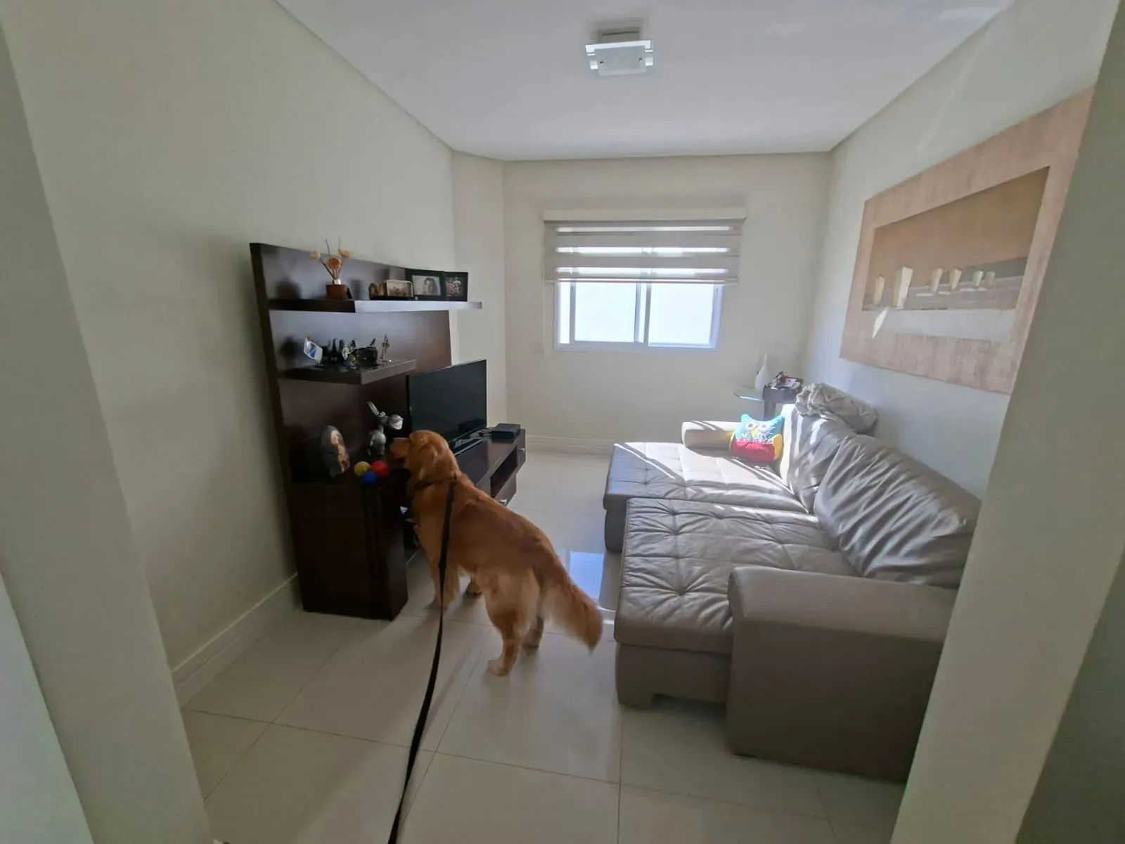 Casa, 4 quartos, 262 m² - Foto 8