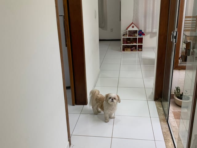 Casa com 200m² 2 quartos e 2 banheiros, à venda, no bairro Água Preta em Pindamonhangaba