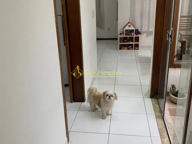 Casa com 200m² 2 quartos e 2 banheiros, à venda, no bairro Água Preta em Pindamonhangaba
