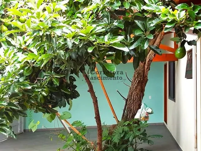 Casa com 296m² 3 quartos e 2 banheiros, à venda, no bairro Centro em Jacareí