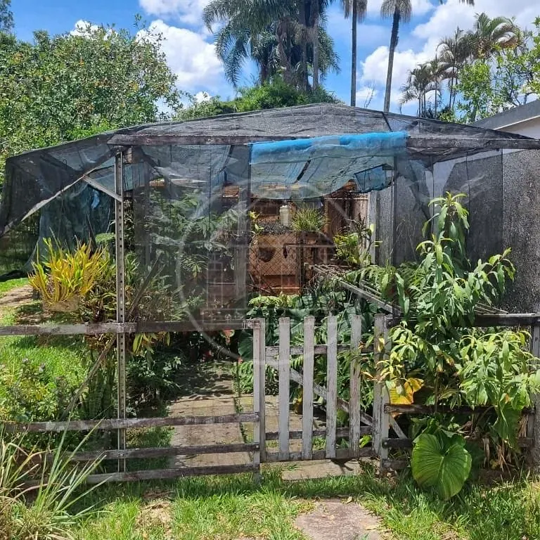 Casa, 3 quartos, 300 m² - Foto 14