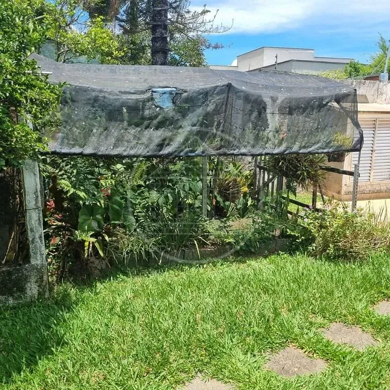 Casa, 3 quartos, 300 m² - Foto 32