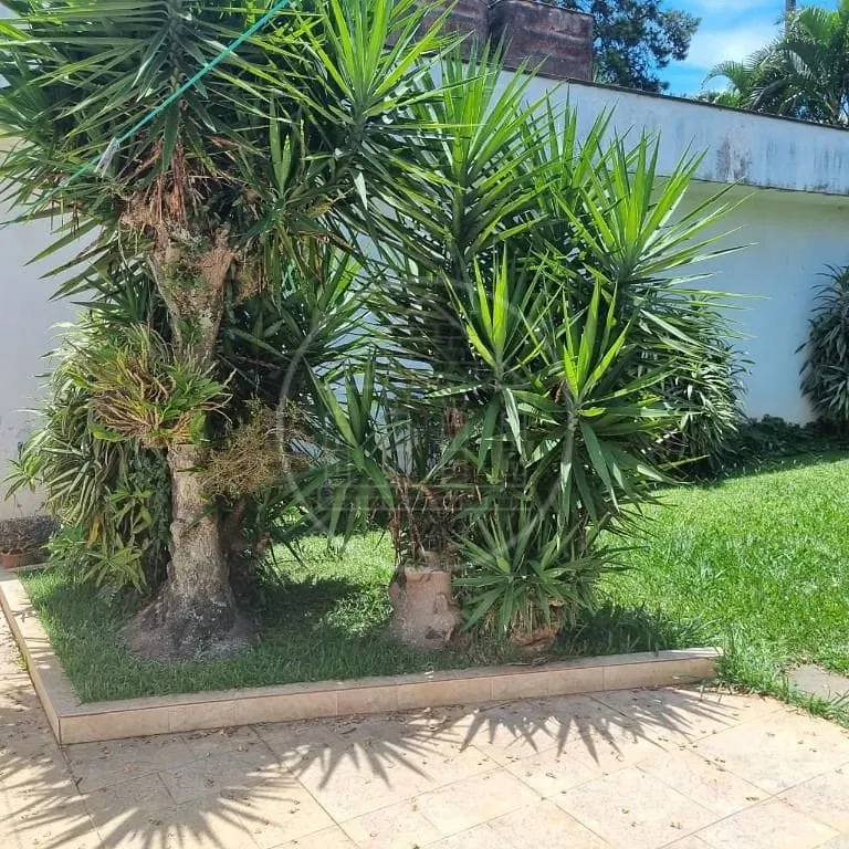 Casa, 3 quartos, 300 m² - Foto 38