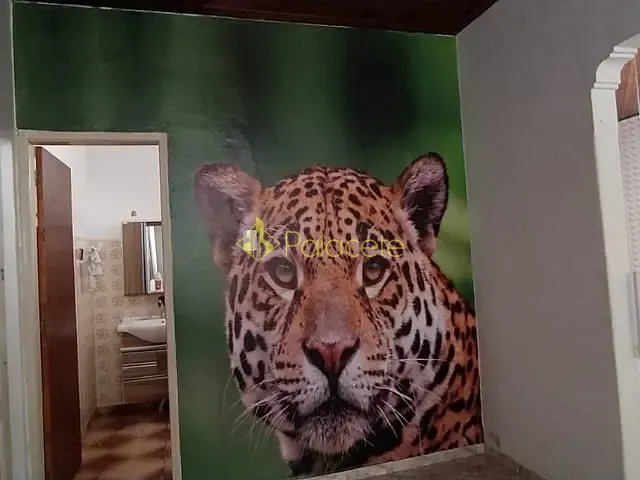 Casa com 225m² 5 quartos e 3 banheiros, à venda, no bairro Vila Zélia em Lorena