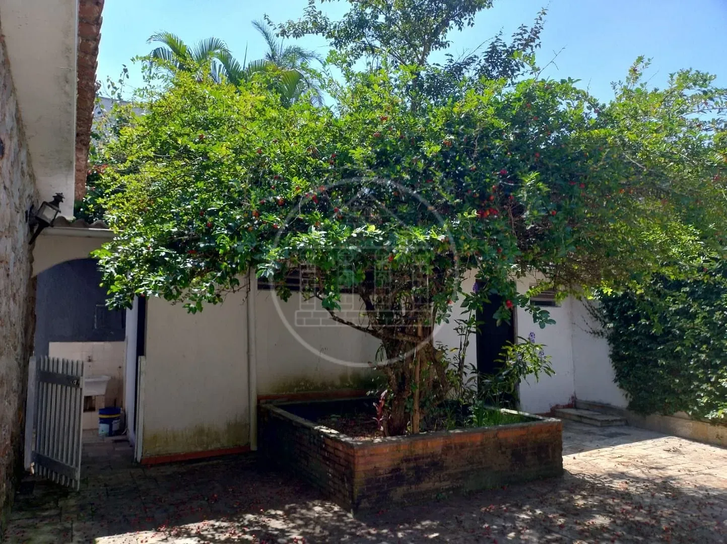Casa, 3 quartos, 500 m² - Foto 2
