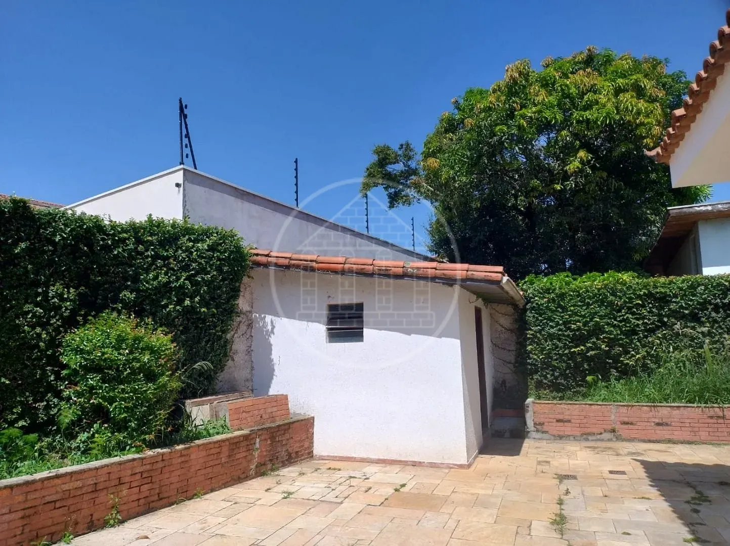 Casa, 3 quartos, 500 m² - Foto 8
