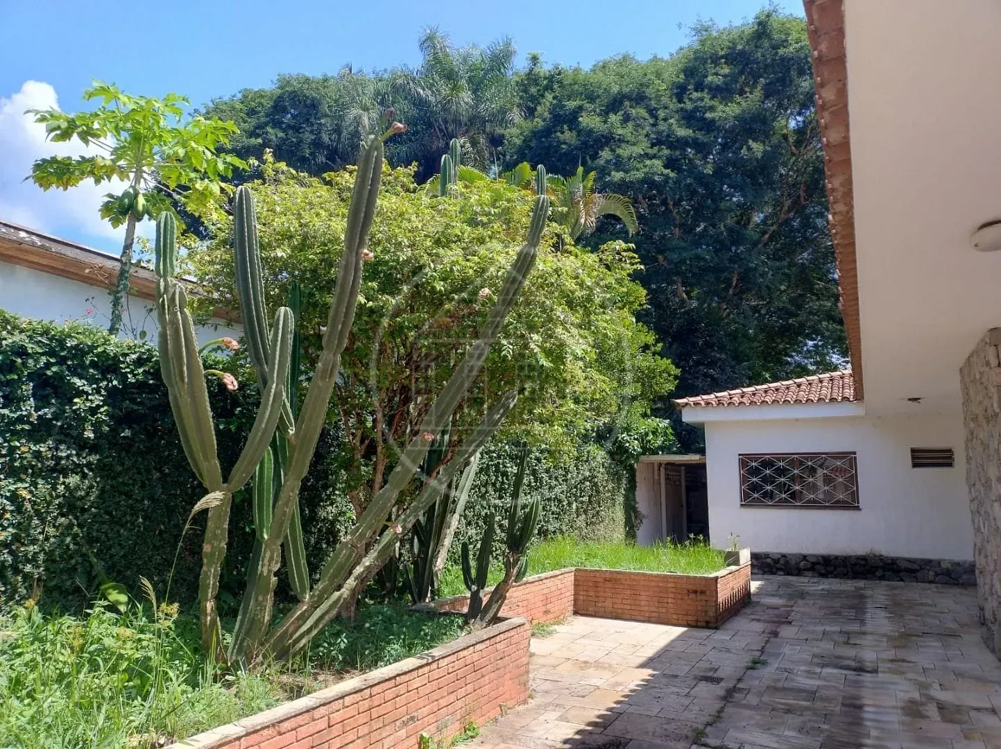 Casa, 3 quartos, 500 m² - Foto 14