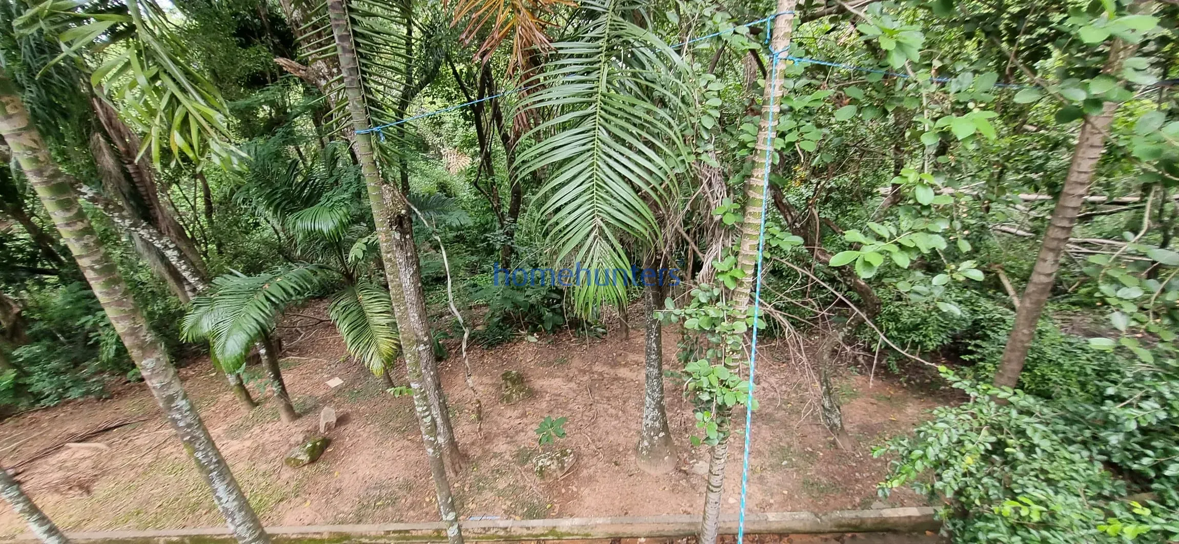 Casa, 4 quartos, 652 m² - Foto 37