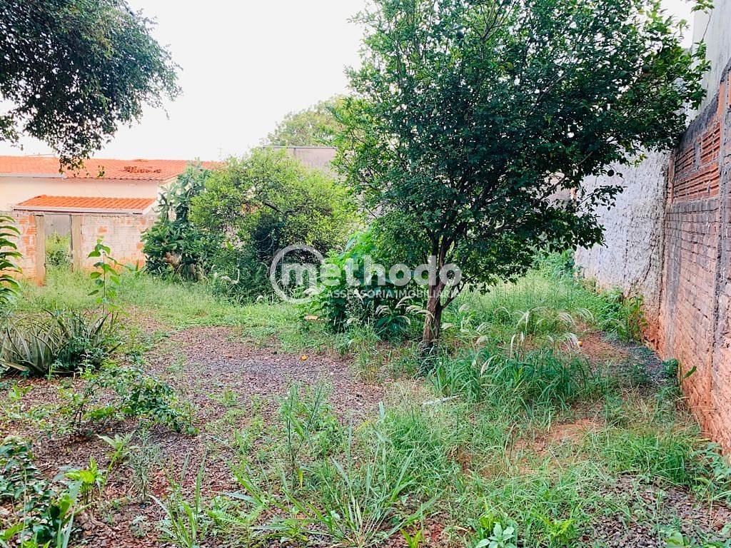 Casa, 3 quartos, 125 m² - Foto 14