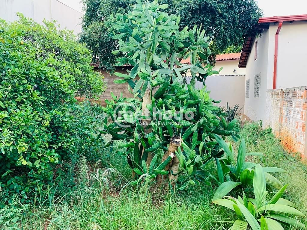 Casa, 3 quartos, 125 m² - Foto 17