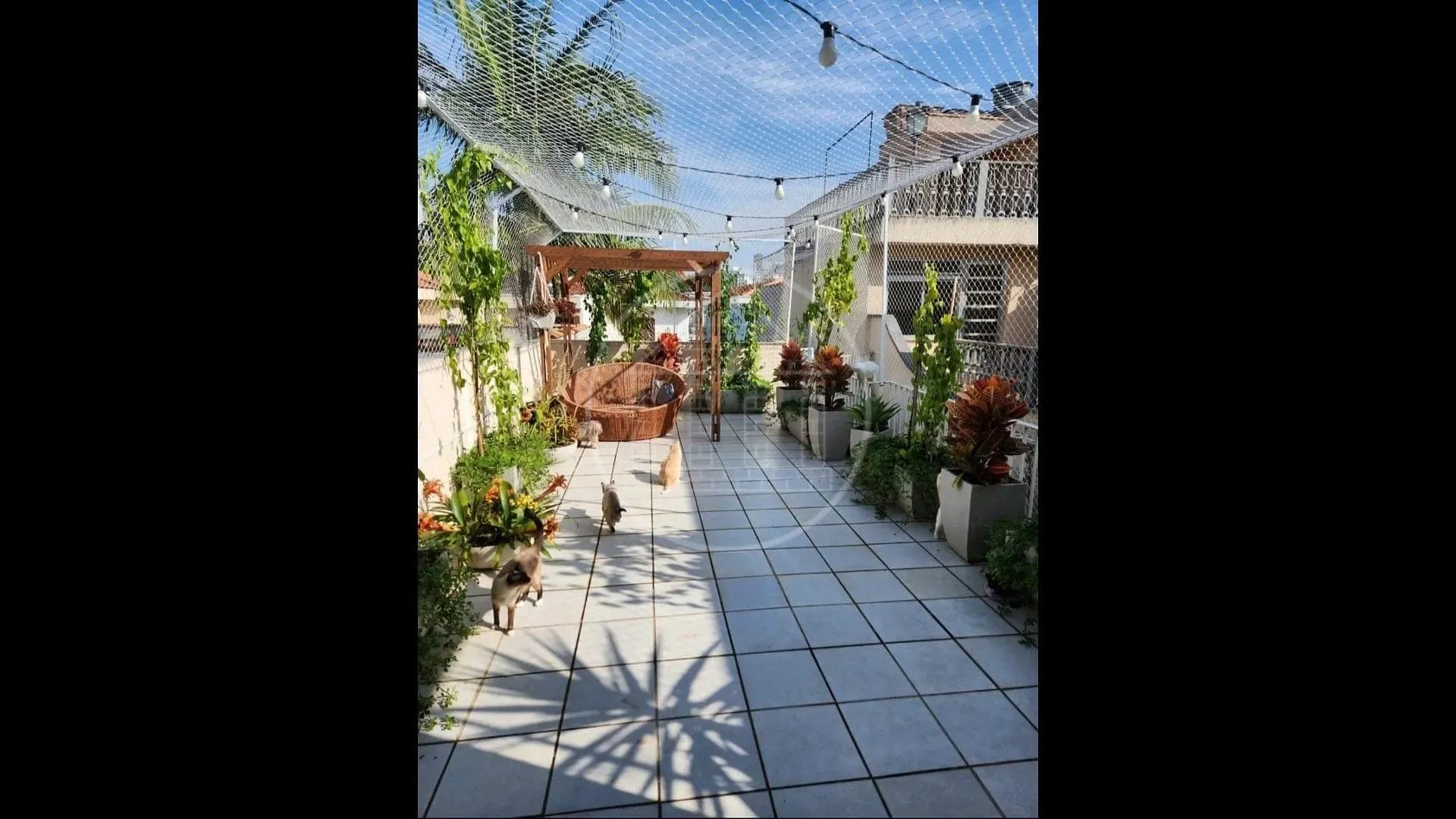 Casa, 3 quartos, 230 m² - Foto 9