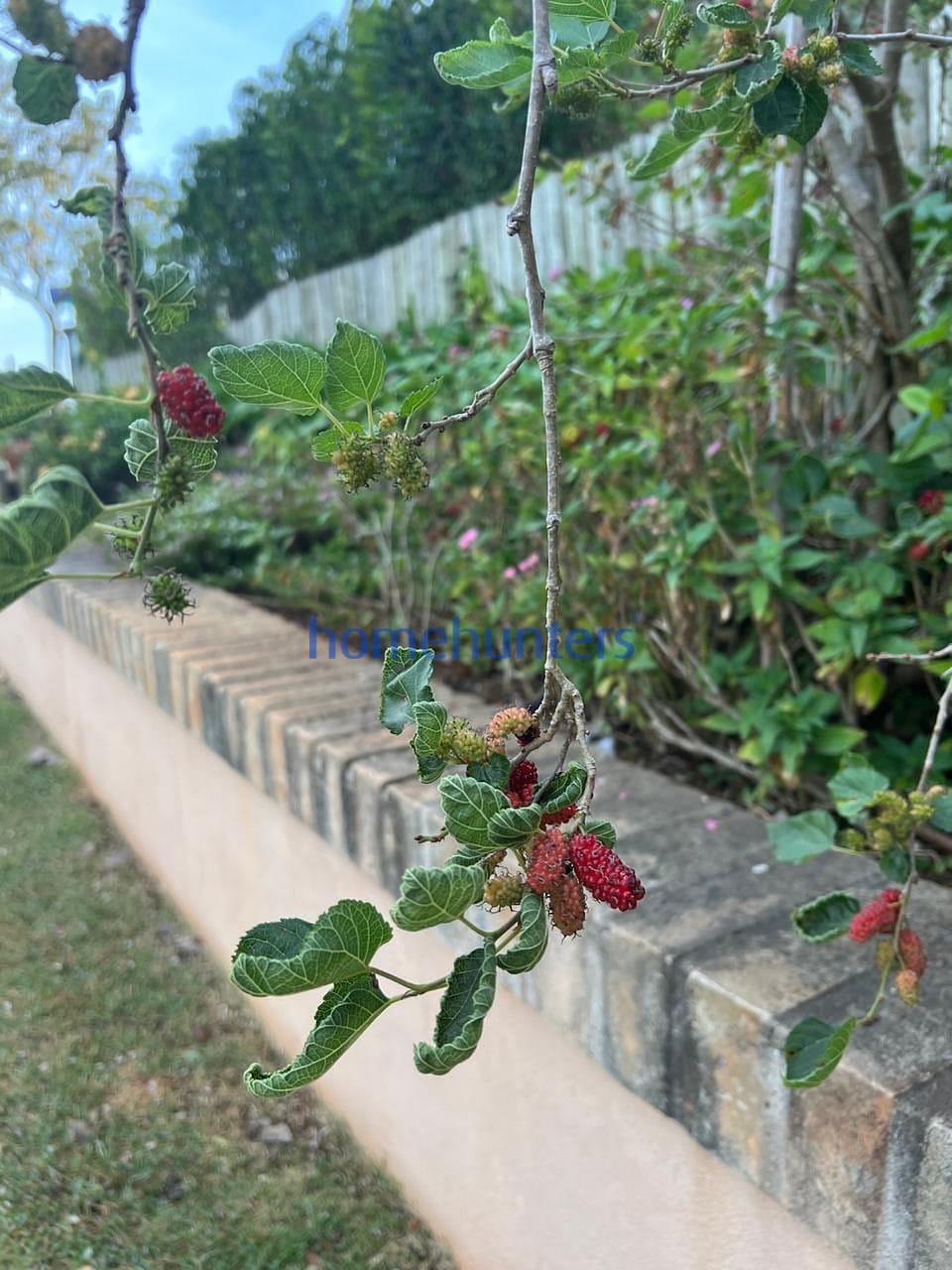 Casa, 4 quartos, 370 m² - Foto 46