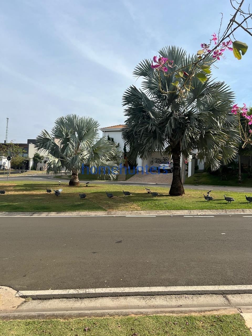 Casa, 4 quartos, 370 m² - Foto 45