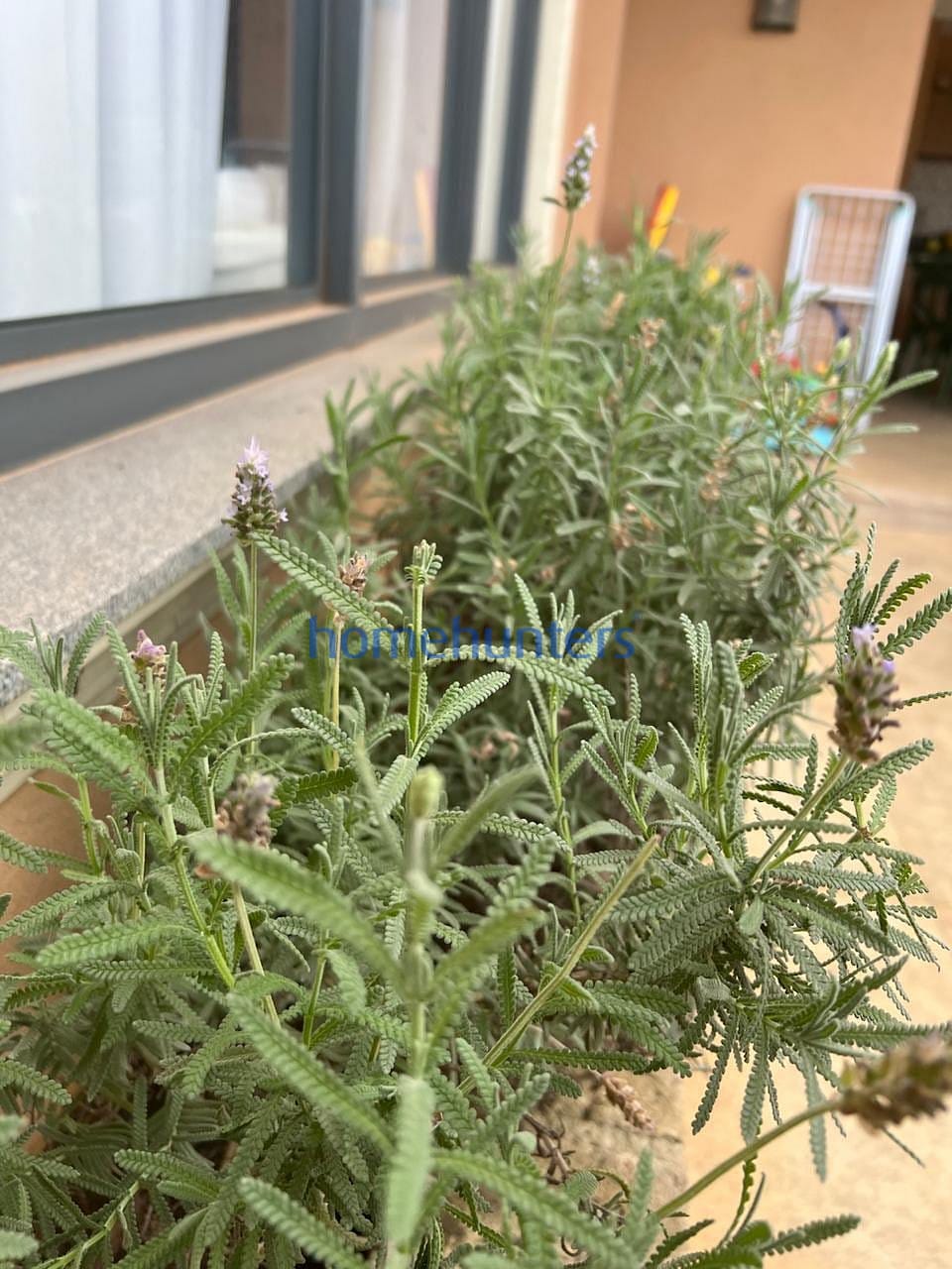 Casa, 4 quartos, 370 m² - Foto 40