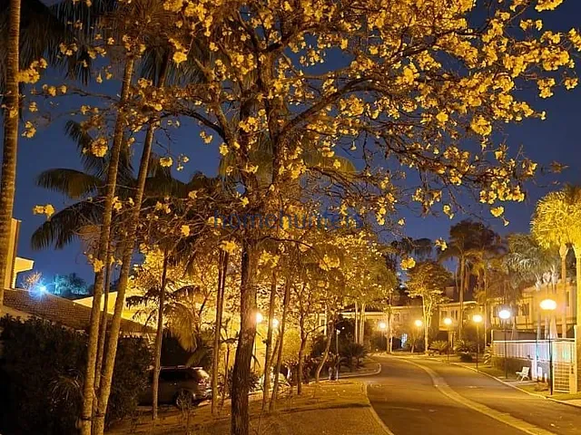 Casa com 330m² 4 quartos e 5 banheiros, à venda, no bairro Loteamento Arboreto dos Jequitibás (Sousas) em Campinas