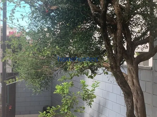 Casa, 4 quartos, 241 m² - Foto 8