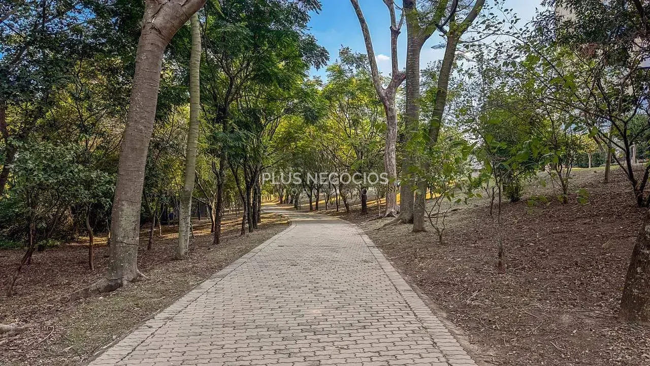 Casa, 4 quartos, 360 m² - Foto 33