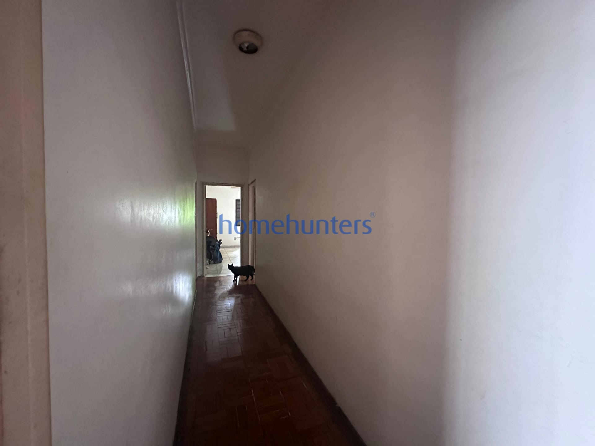 Casa, 4 quartos, 515 m² - Foto 6