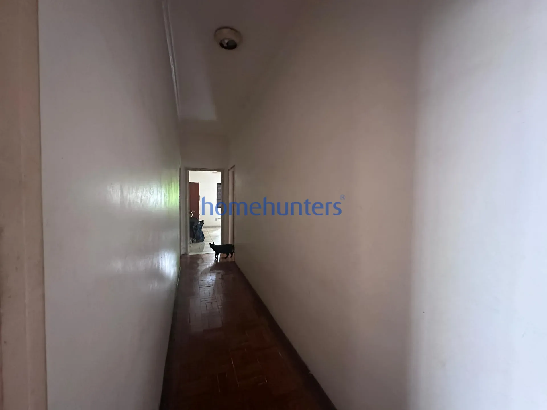 Casa, 4 quartos, 515 m² - Foto 6