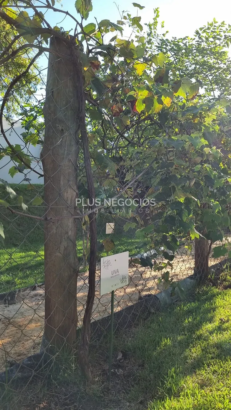 Casa, 3 quartos, 323 m² - Foto 66