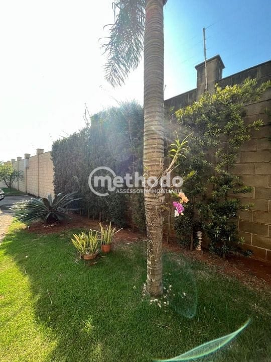 Casa, 3 quartos, 222 m² - Foto 10