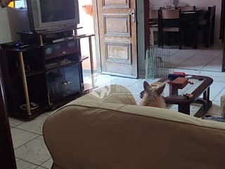 Foto do Casa-Casa tipo para venda em Vila Santa Catarina com 2 quartos, 137m²