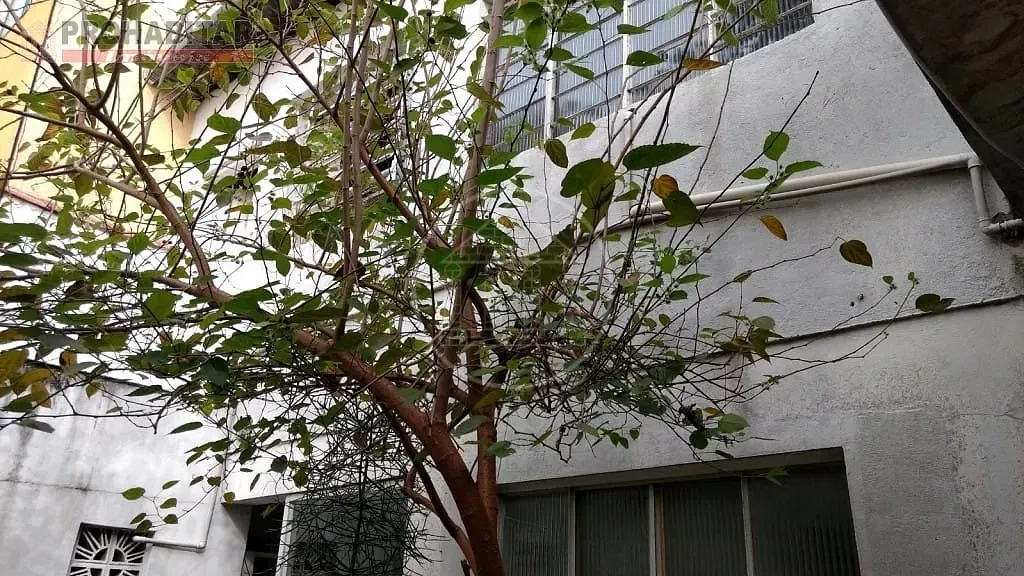 Casa, 2 quartos, 63 m² - Foto 1