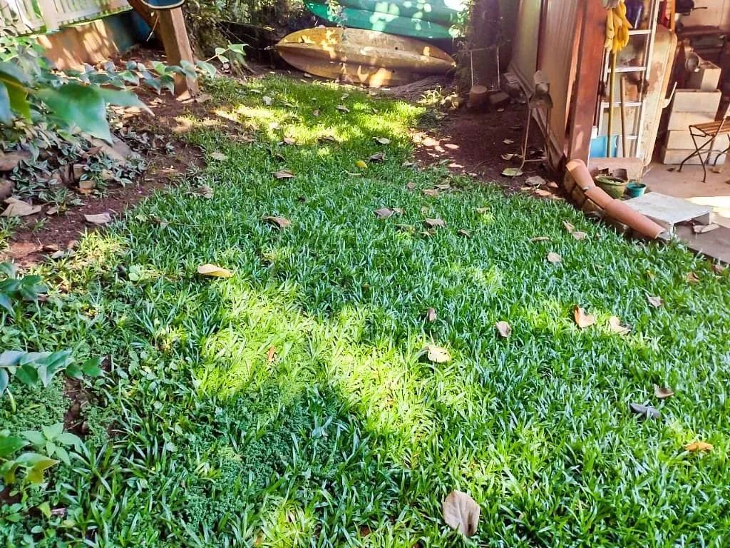 Casa, 2 quartos, 90 m² - Foto 25