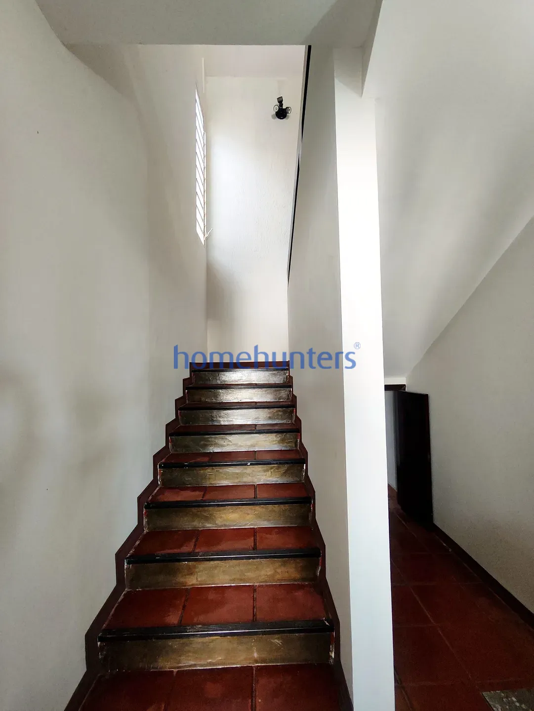 Casa, 1 quarto, 354 m² - Foto 4
