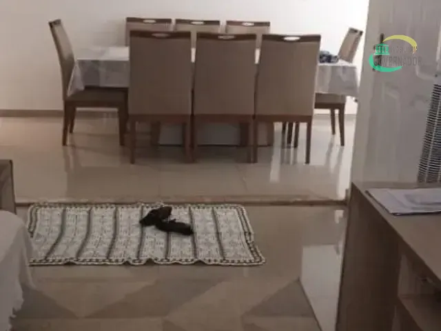 Casa com 250m² 3 quartos e 2 banheiros, à venda, no bairro Jardim Fernanda em Campinas