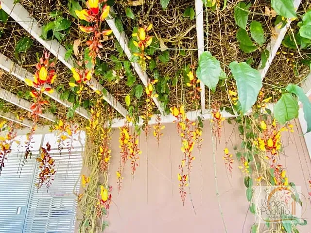 Casa com 216m² 3 quartos e 2 banheiros, à venda, no bairro Jardim Paulista em Atibaia