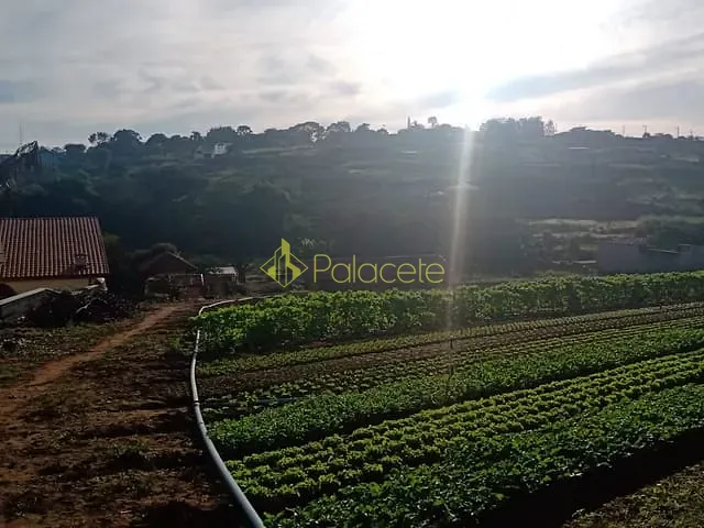 Casa com 15000m² 4 quartos e 4 banheiros, à venda, no bairro Barreiro em Taubaté