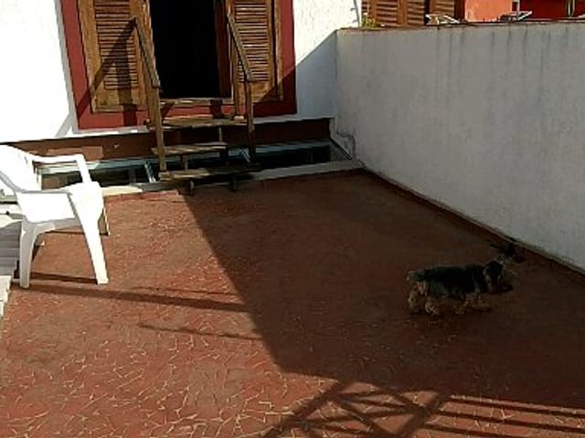 Casa com 196m² 3 quartos e 4 banheiros, à venda, no bairro Parque Jabaquara em São Paulo