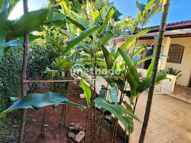 Casa com 332m² 3 quartos e 2 banheiros, à venda, no bairro Jardim Alto da Barra em Campinas